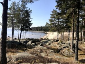 20210513_112427813_iOS