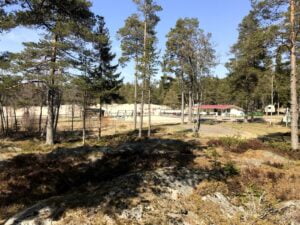 20210513_112431082_iOS