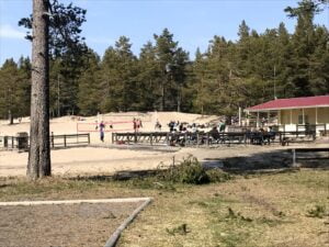 20210513_113929732_iOS