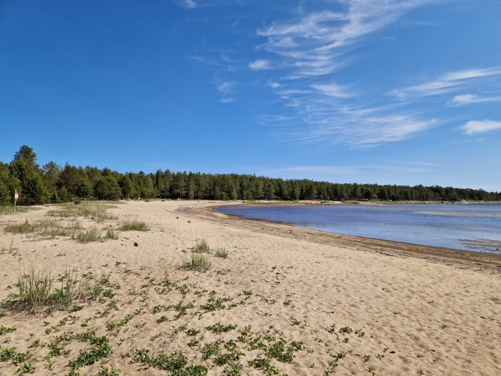 Sandstrand vid Norrmjöle havsbad med tallskog och lugnt hav.